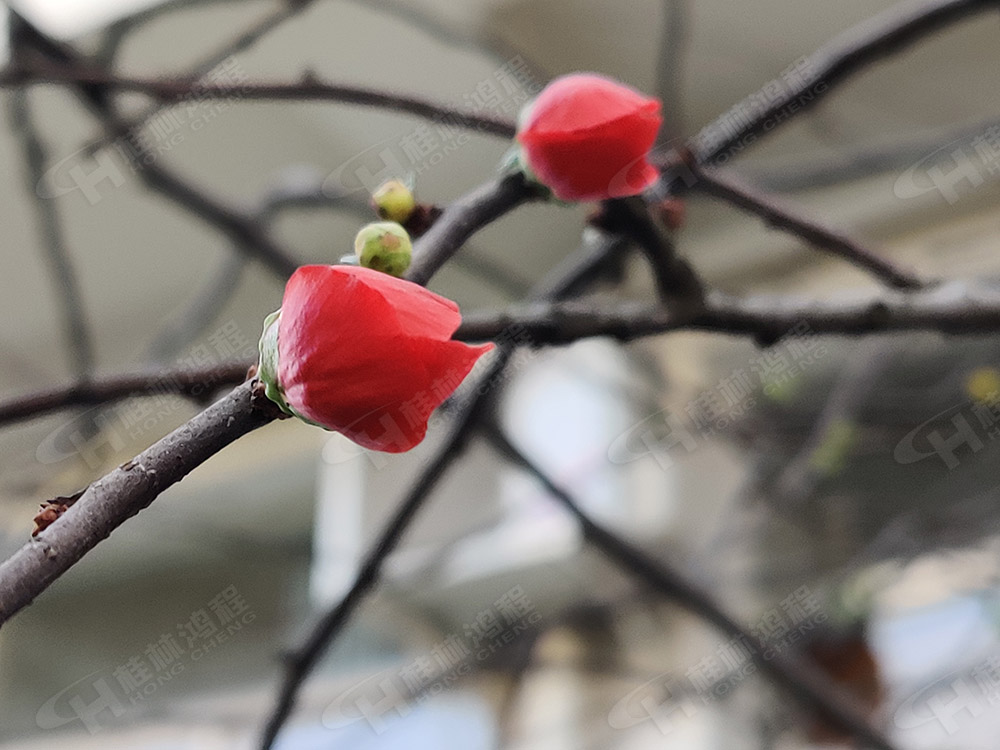 桂林鴻程花團(tuán)錦簇，滿園春色，邀您一起共賞春景，共商大計(jì)！