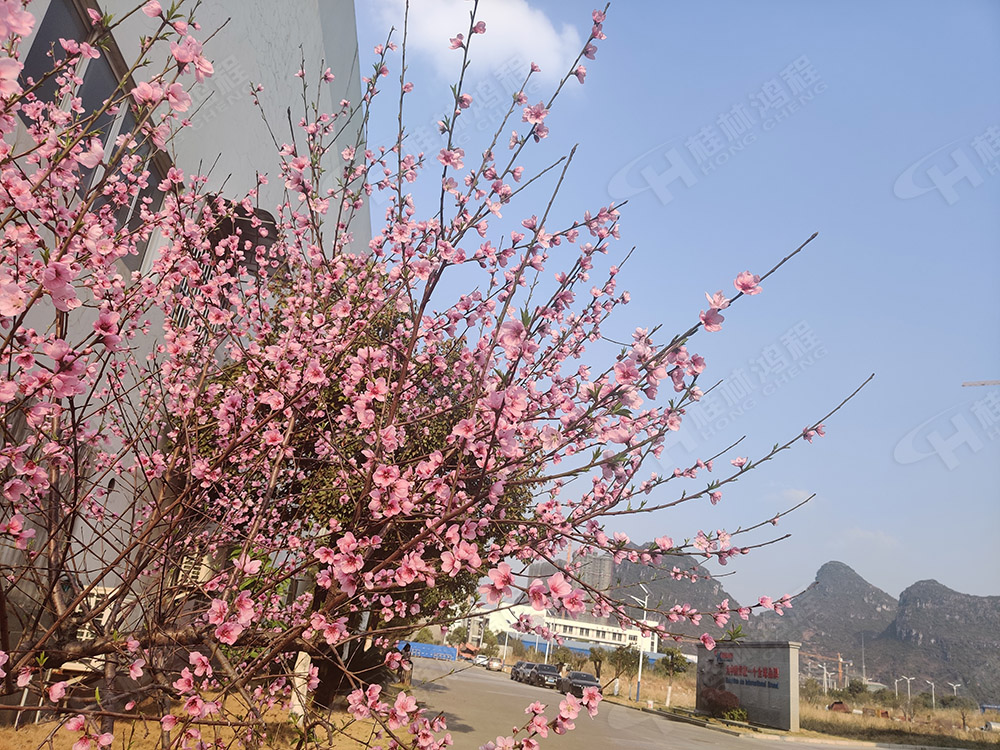 桂林鴻程花團(tuán)錦簇，滿園春色，邀您一起共賞春景，共商大計(jì)！